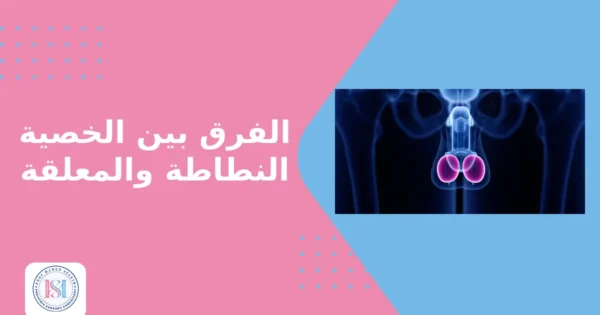 الفرق بين الخصية النطاطة والمعلقة الفرق بين الخصية النطاطة والمعلقة