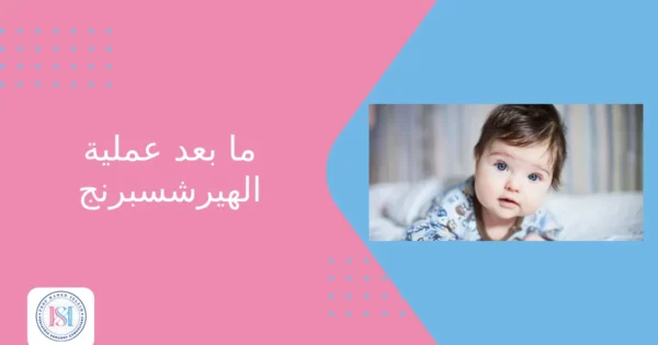 ما بعد عملية الهيرشسبرنج ما بعد عملية الهيرشسبرنج