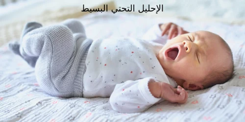 الإحليل التحتي البسيط