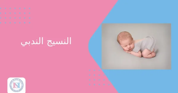 النسيج الندبي